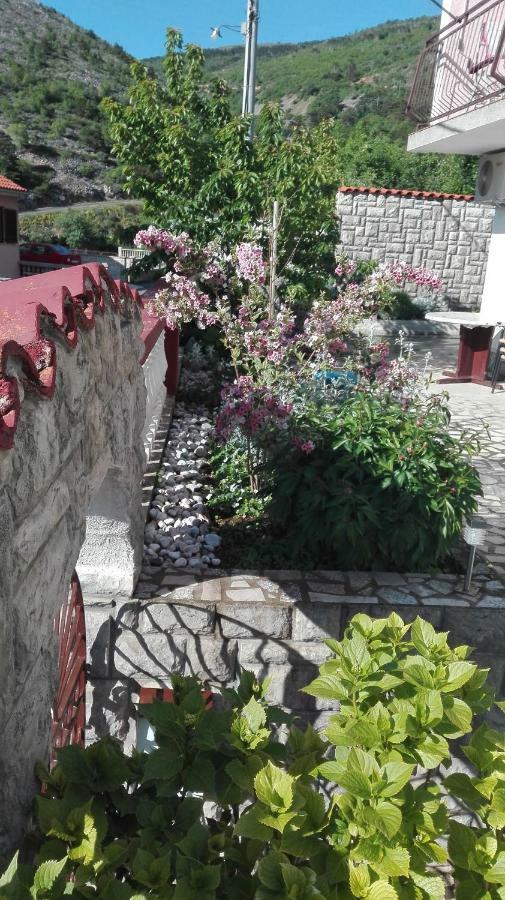 Dunja Senj (Lika-Senj)