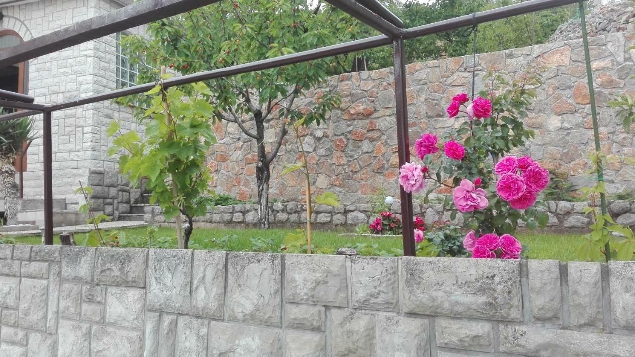 Dunja * Senj (Lika-Senj)